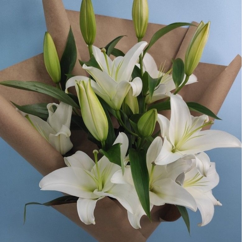 White Asiatic Lily