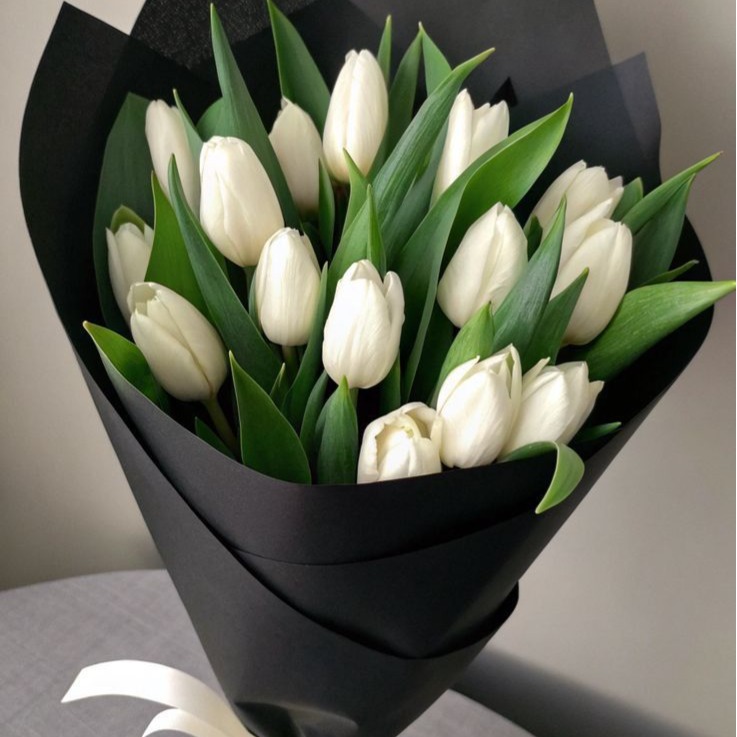 White Tulip Bunch