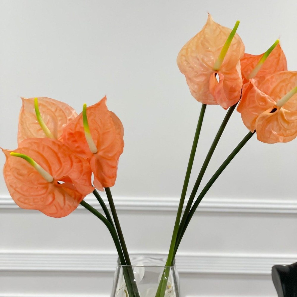 Orange Anthurium Stem
