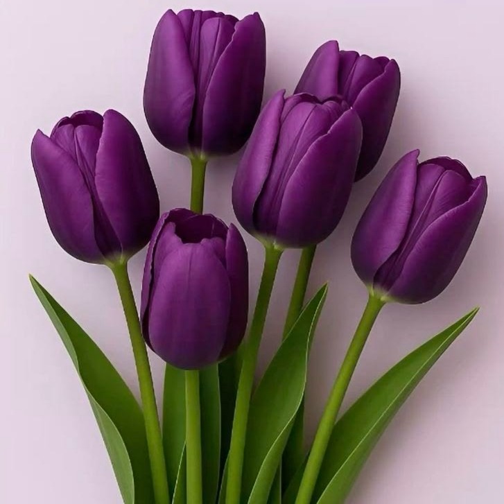 Dutch Tulip Bunch — photo 4