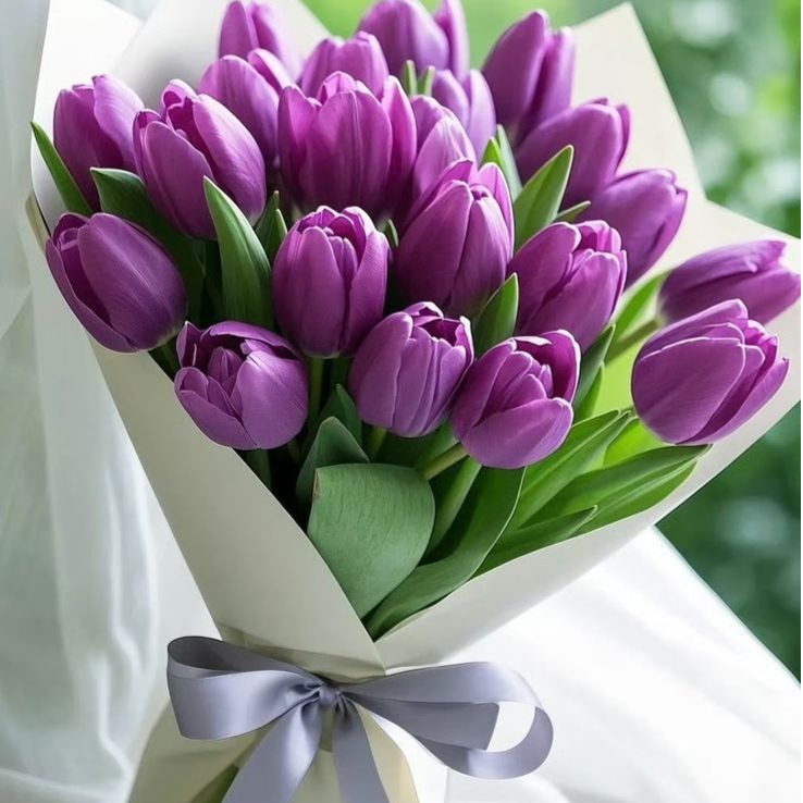 Purple Tulip Bunch